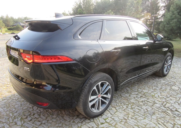 Jaguar F-Pace cena 84500 przebieg: 124677, rok produkcji 2016 z Rypin małe 67